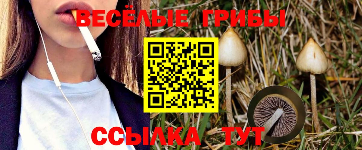 Галлюциногенные грибы прущие грибы  Старая Купавна 