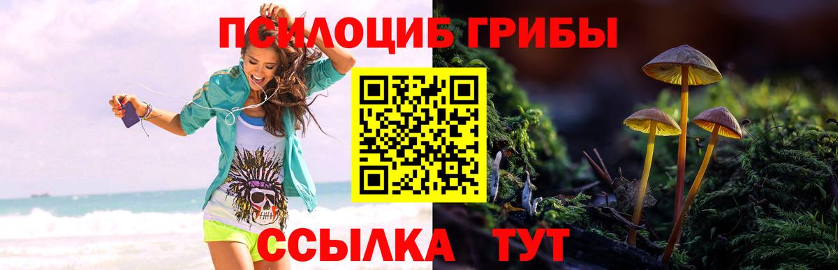 Галлюциногенные грибы прущие грибы Старая Купавна